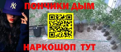 стафф Камышлов