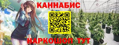 стафф Камышлов