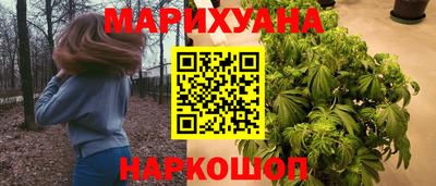 стафф Камышлов
