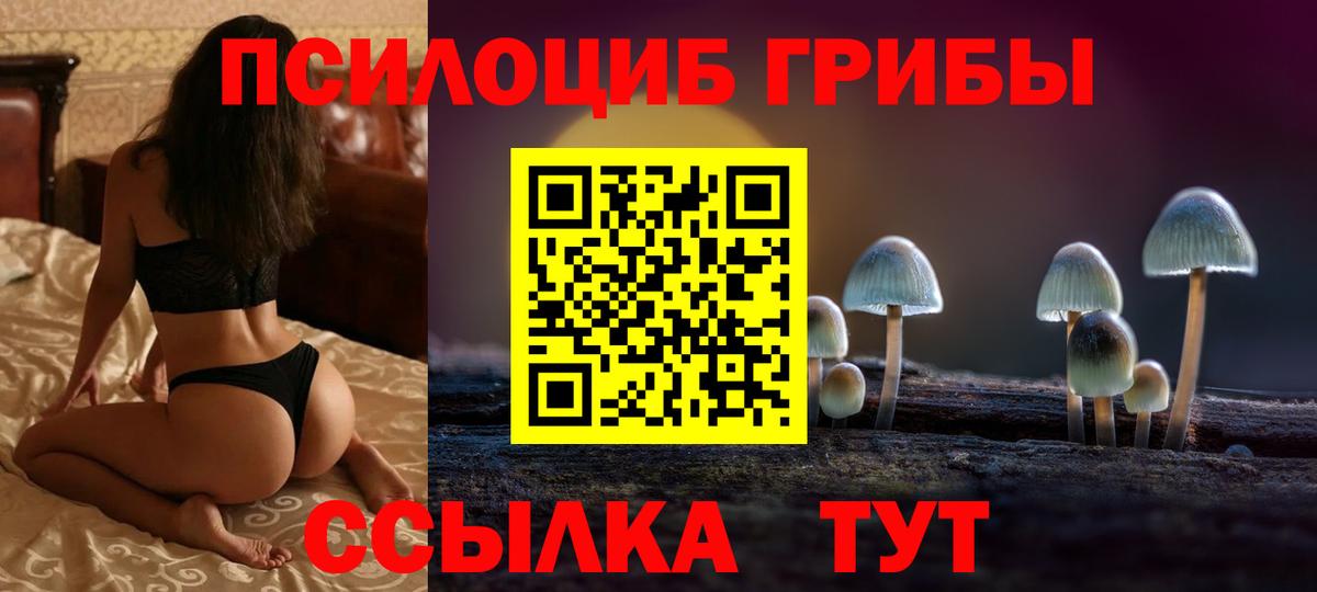 Галлюциногенные грибы мухоморы  Вход с VPN  Галлюциногенные грибы Psilocybe  Камышлов 