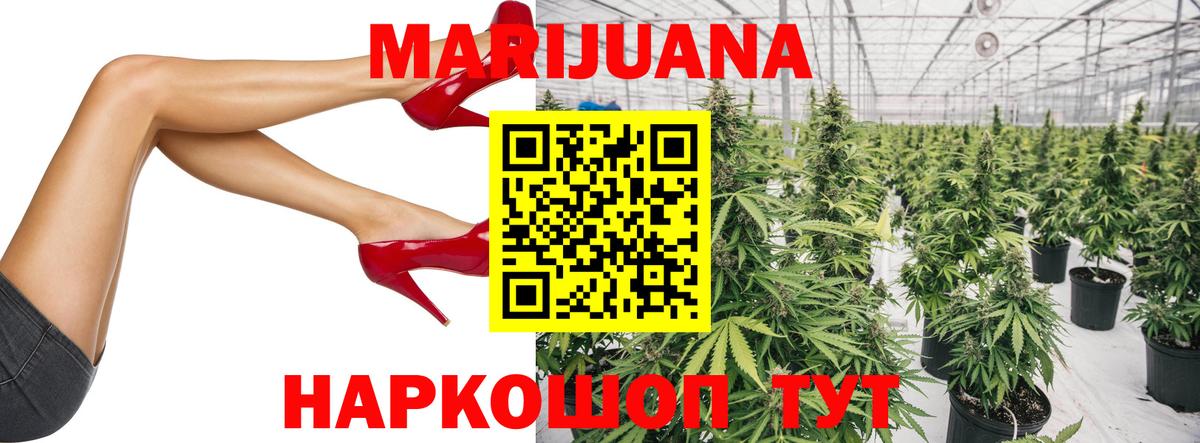 МАРИХУАНА Bruce Banner  Вход с VPN  Камышлов  Бошки Шишки марихуана  Канабис VHQ  Шишки марихуана сатива 
